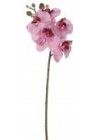  Orhideja rozā ar violetu vidiņu 46cm