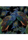  Salvetes putni Embroidered Peacocks with Feathers 1pac