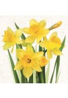 Salvetes puķes Bunch of Yellow Daffodils 1pac