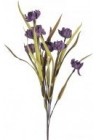  Anemones tumši violetas 54cm