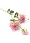  Rozes zars rozā 65cm