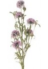  Balderjāņa ziedi rozīgi pušķis 58cm