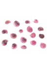  Gliemežvāki krāsoti rozā 200g
