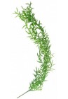  Asparaga zariņš 73cm