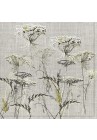  Salvetes puķes Achillea Sketch on a Linen Backgraund 1pac