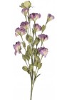  Lizantes balti violetas zariņš 78cm