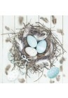  Salvetes Lieldienas Pastel Blue Eggs in Natural Nest 1pac